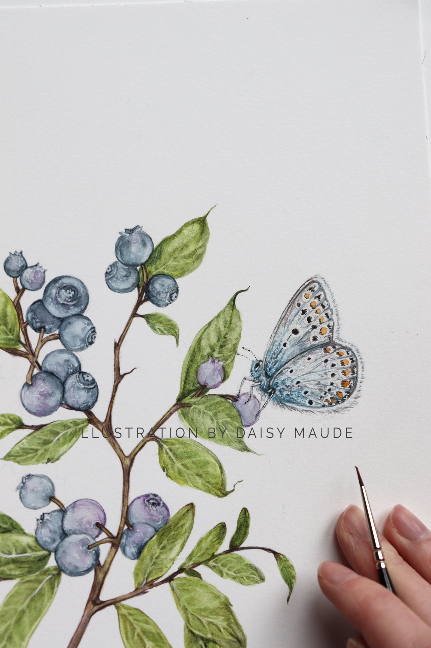 Watercolour Blueberry A5 Notepad Checklist, Illustrated Fruit Stationery Gift