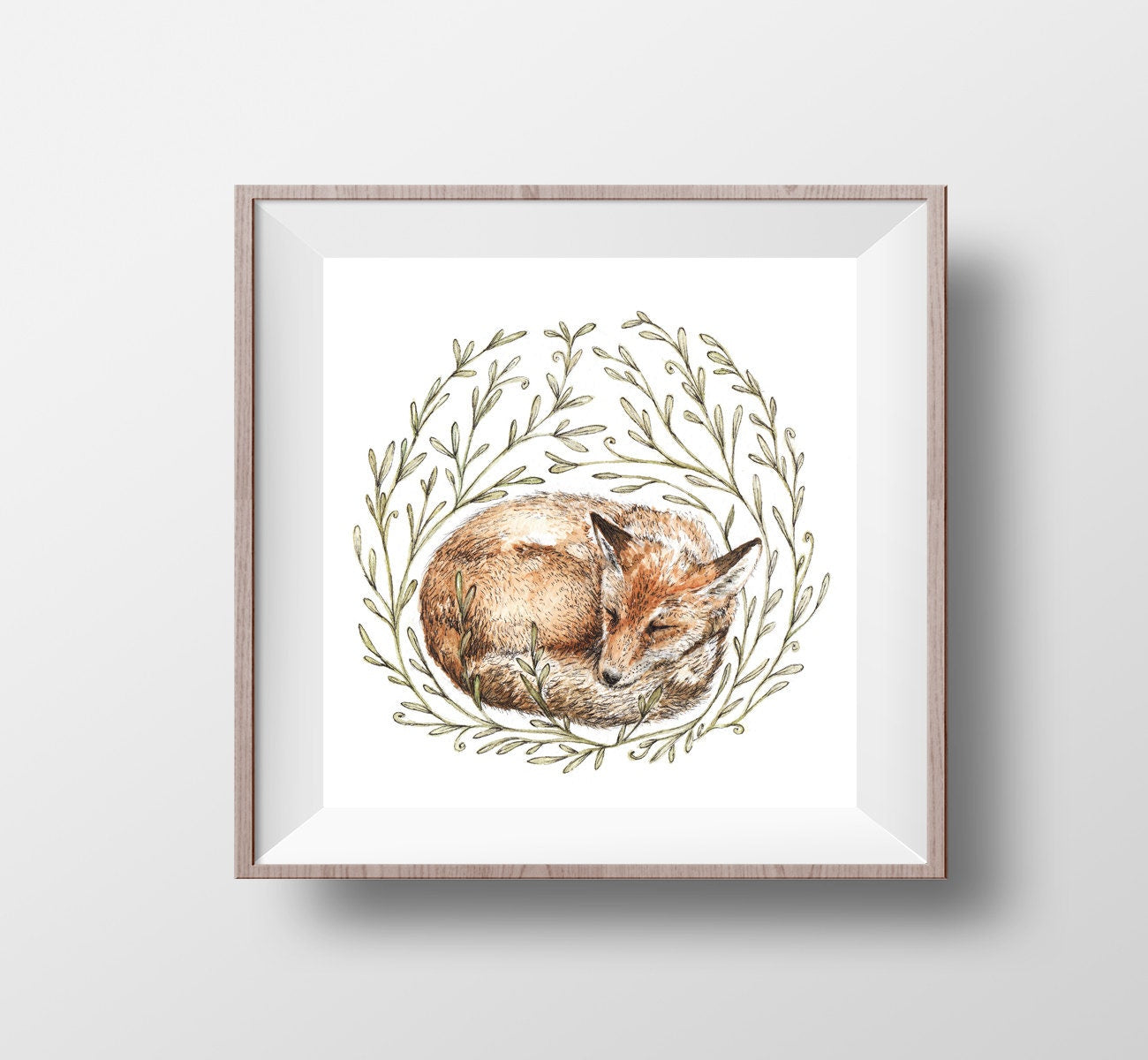 Little Sleeping Fox - Square Print Nature Watercolour Pen Ink Illustration Fine Art Print, Animal Nursery Art - 8x8" 7x7" 5x5" 4x4"