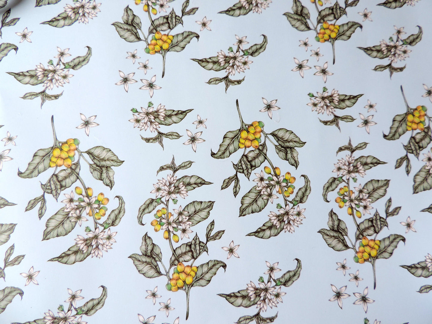 Coffee Plant Floral Wrapping Paper Blue Botanical Patterned Birthday Gift Wrap Sheets