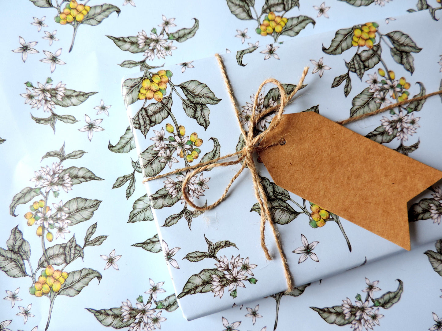 Coffee Plant Floral Wrapping Paper Blue Botanical Patterned Birthday Gift Wrap Sheets