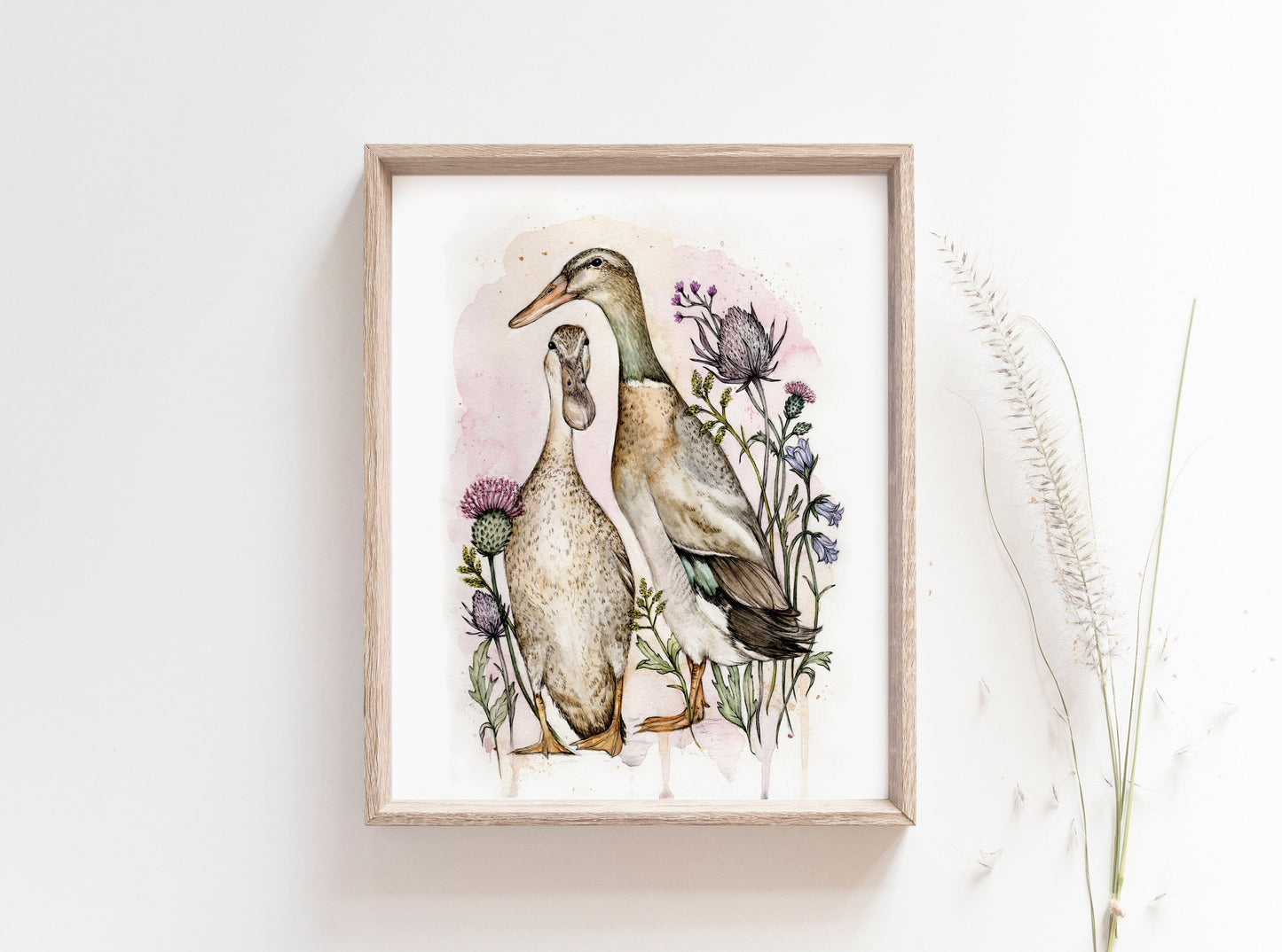 Indian Runner Ducks - Wild Flowers Watercolour Thistles Bird Illustration Fine Art Print - 8x10" 5x7"