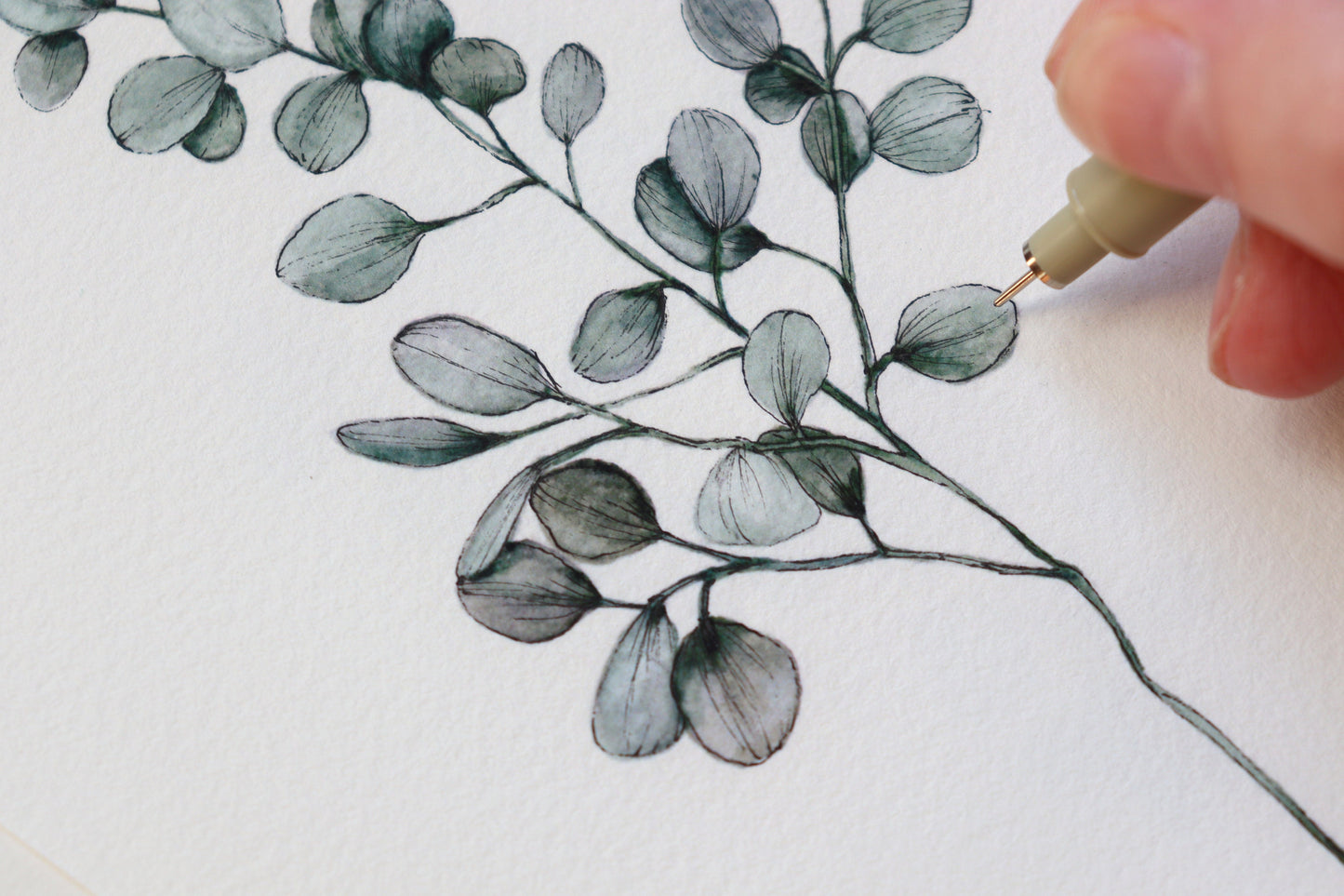 Eucalyptus Print, Plant Illustration, Botanical Floral Fine Art 5x7" Minimalist Print - Hand finished
