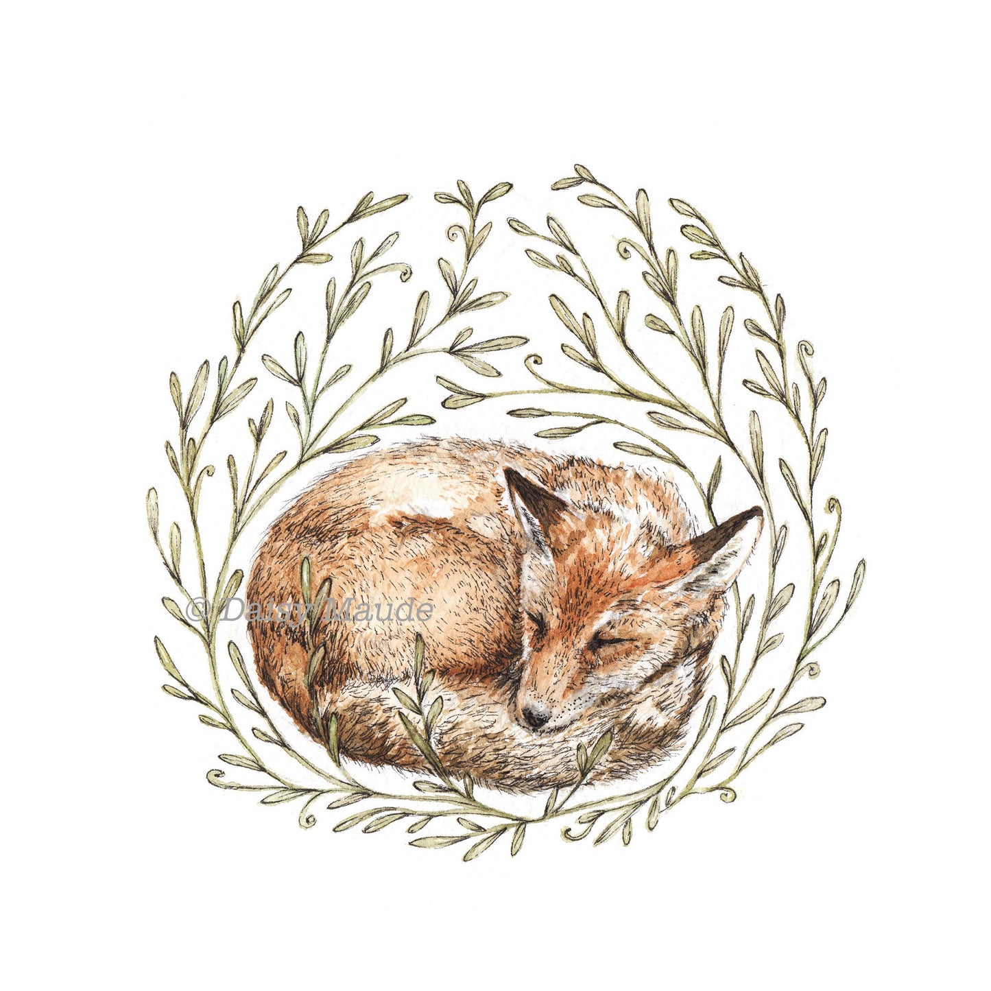 Little Sleeping Fox - Square Print Nature Watercolour Pen Ink Illustration Fine Art Print, Animal Nursery Art - 8x8" 7x7" 5x5" 4x4"