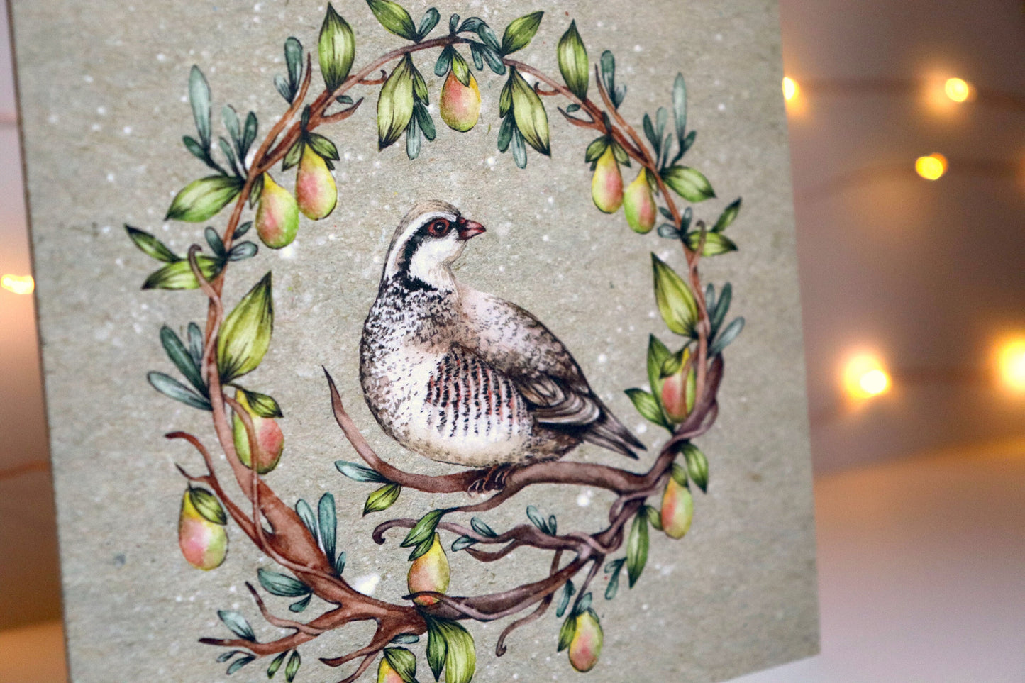 Partridge Christmas Card, Partridge In A Pear Tree Card, Xmas Bird Greetings Card