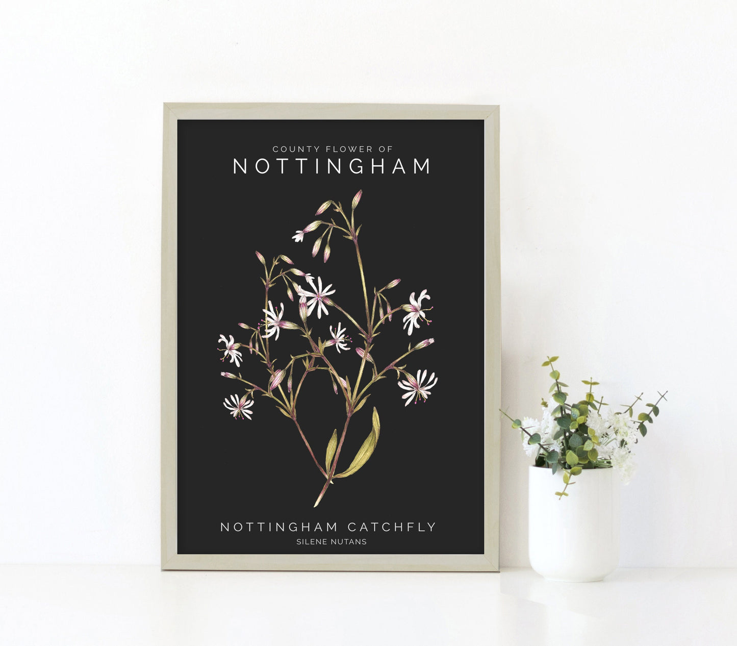 Nottingham Catchfly Watercolour Print, County Flower Of Notts Botanical Floral Poster, Wildflower Art Illustration A4 Giclee Print