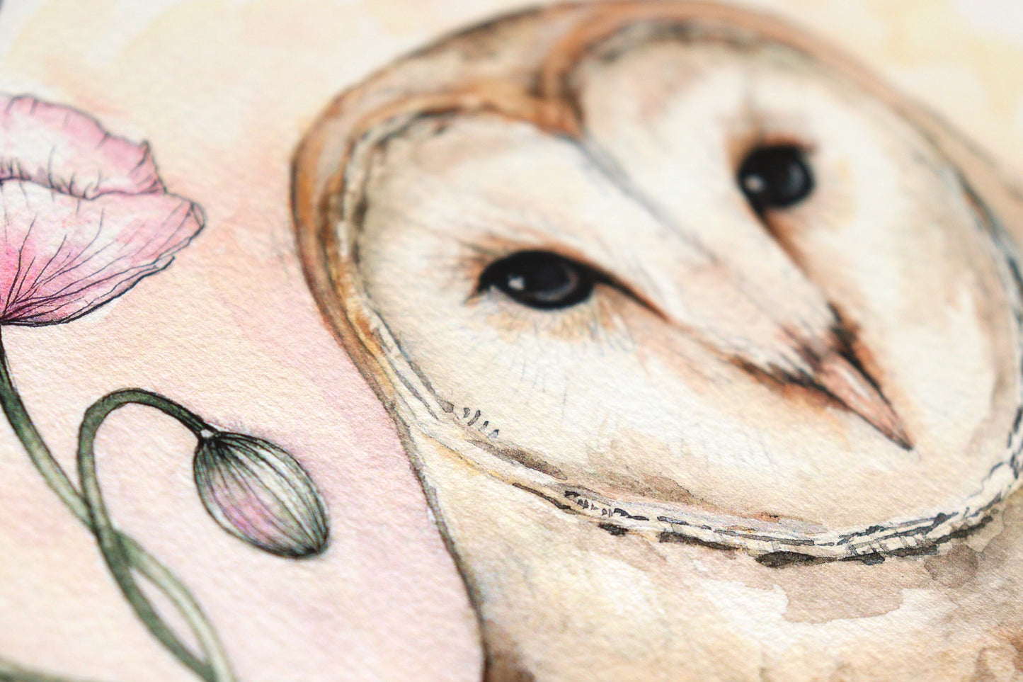Barn Owl Print Watercolour Poppies Painting Giclée Print A4, A3