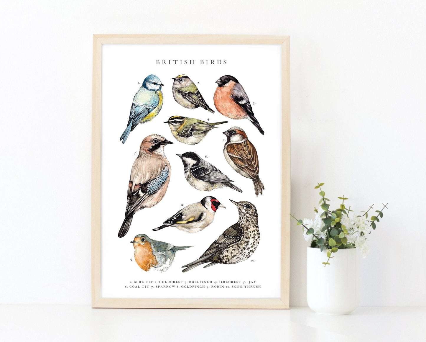 Watercolour British Birds Print, A4 A3 Bird Painting Poster Illustration Gift for Bird Watchers Wall Art