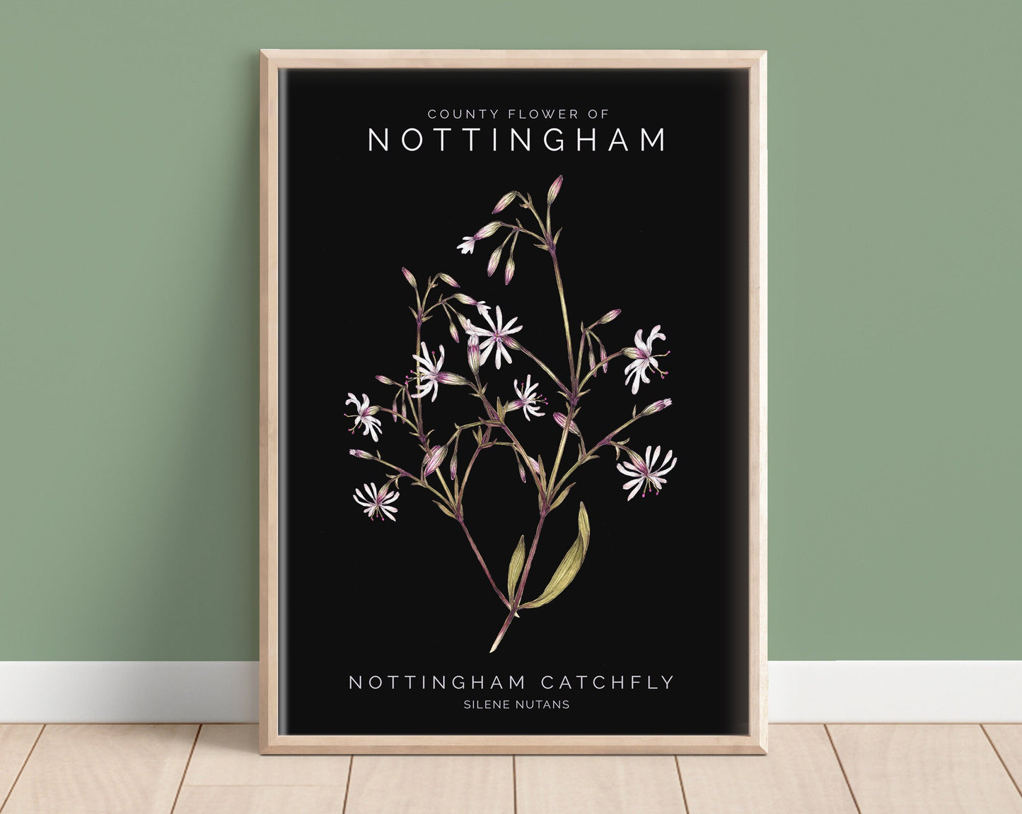 Nottingham Catchfly Watercolour Print, County Flower Of Notts Botanical Floral Poster, Wildflower Art Illustration A4 Giclee Print