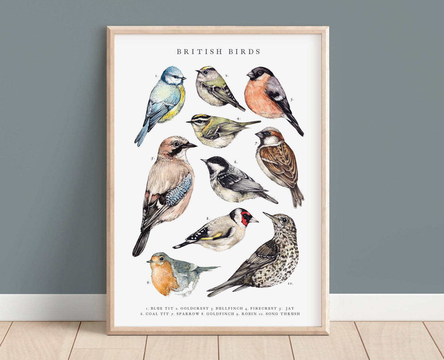 Watercolour British Birds Print, A4 A3 Bird Painting Poster Illustration Gift for Bird Watchers Wall Art