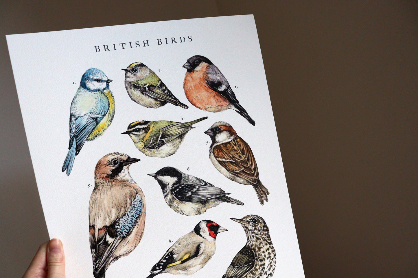 Watercolour British Birds Print, A4 A3 Bird Painting Poster Illustration Gift for Bird Watchers Wall Art