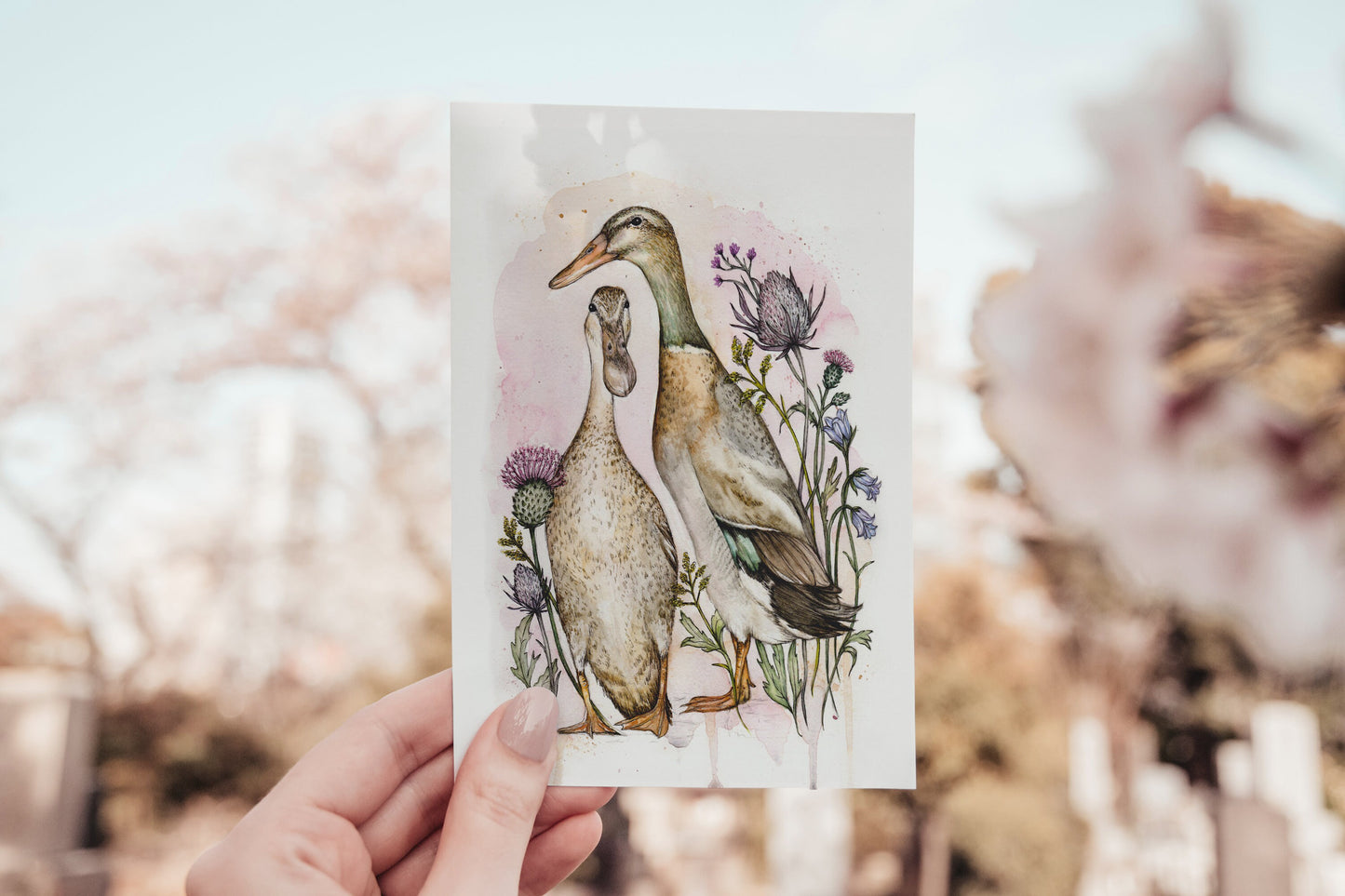 Indian Runner Ducks - Wild Flowers Watercolour Thistles Bird Illustration Fine Art Print - 8x10" 5x7"