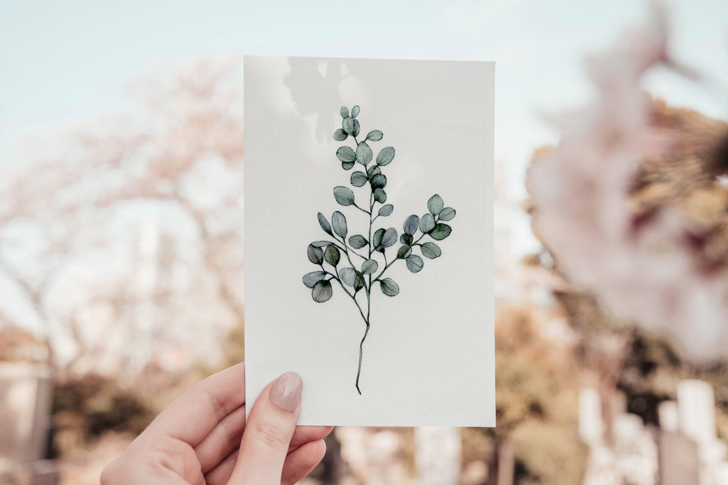 Eucalyptus Print, Plant Illustration, Botanical Floral Fine Art 5x7" Minimalist Print - Hand finished