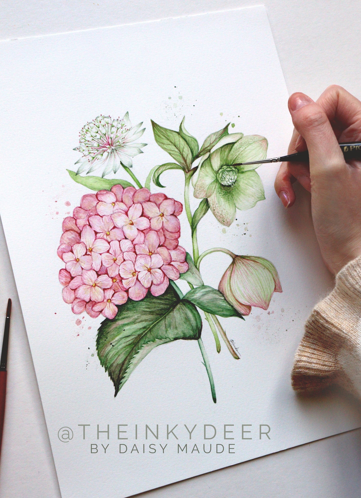Vintage Florals Watercolour Giclee Print, Hydrangea Hellebore Astrantia Art A5, A4, A3