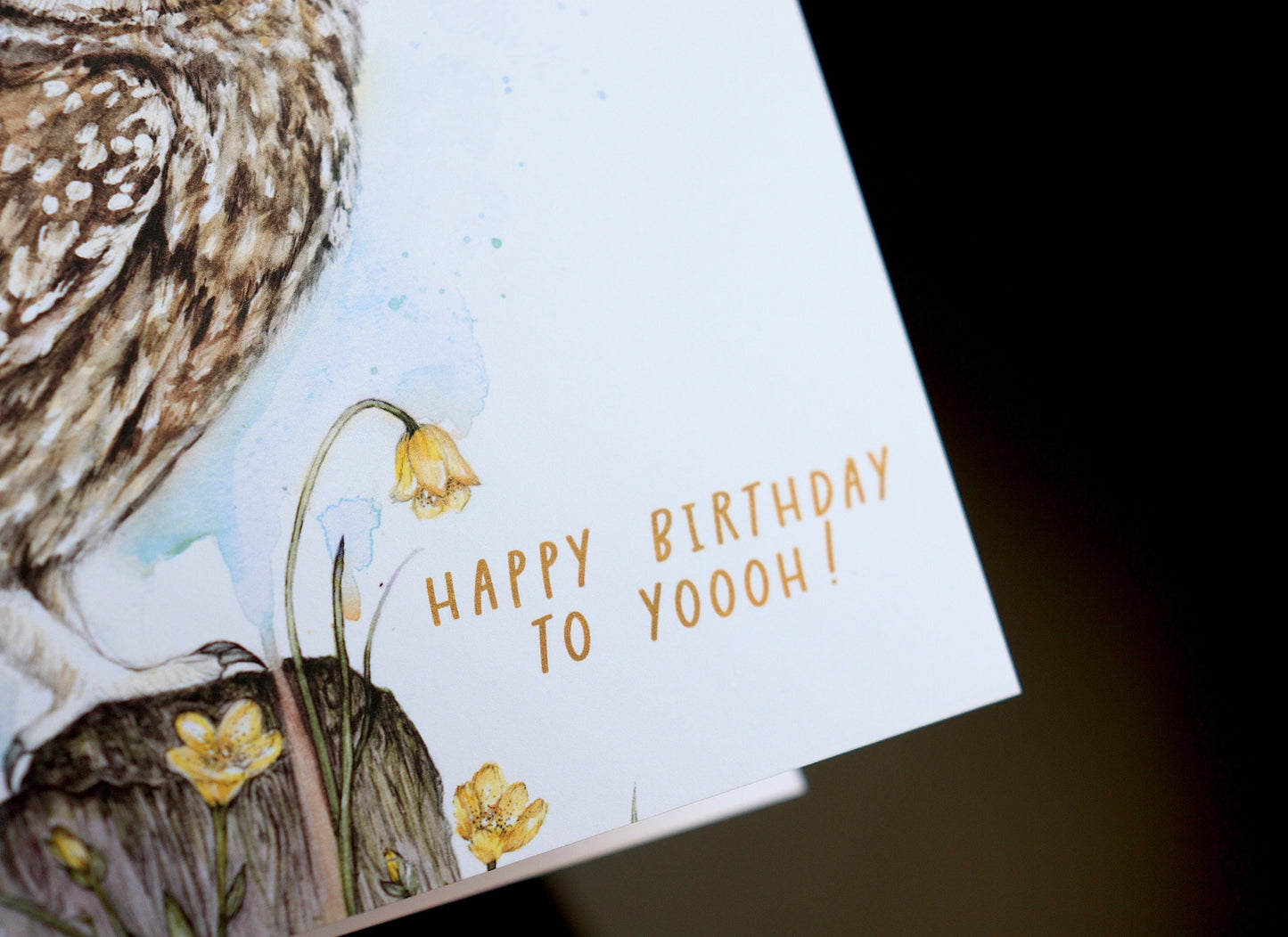 Little Owl 'Happy Birthday To Yoooh!' Watercolour Birthday Card, Owl Greeting Card, Floral Illustrated Bird Card