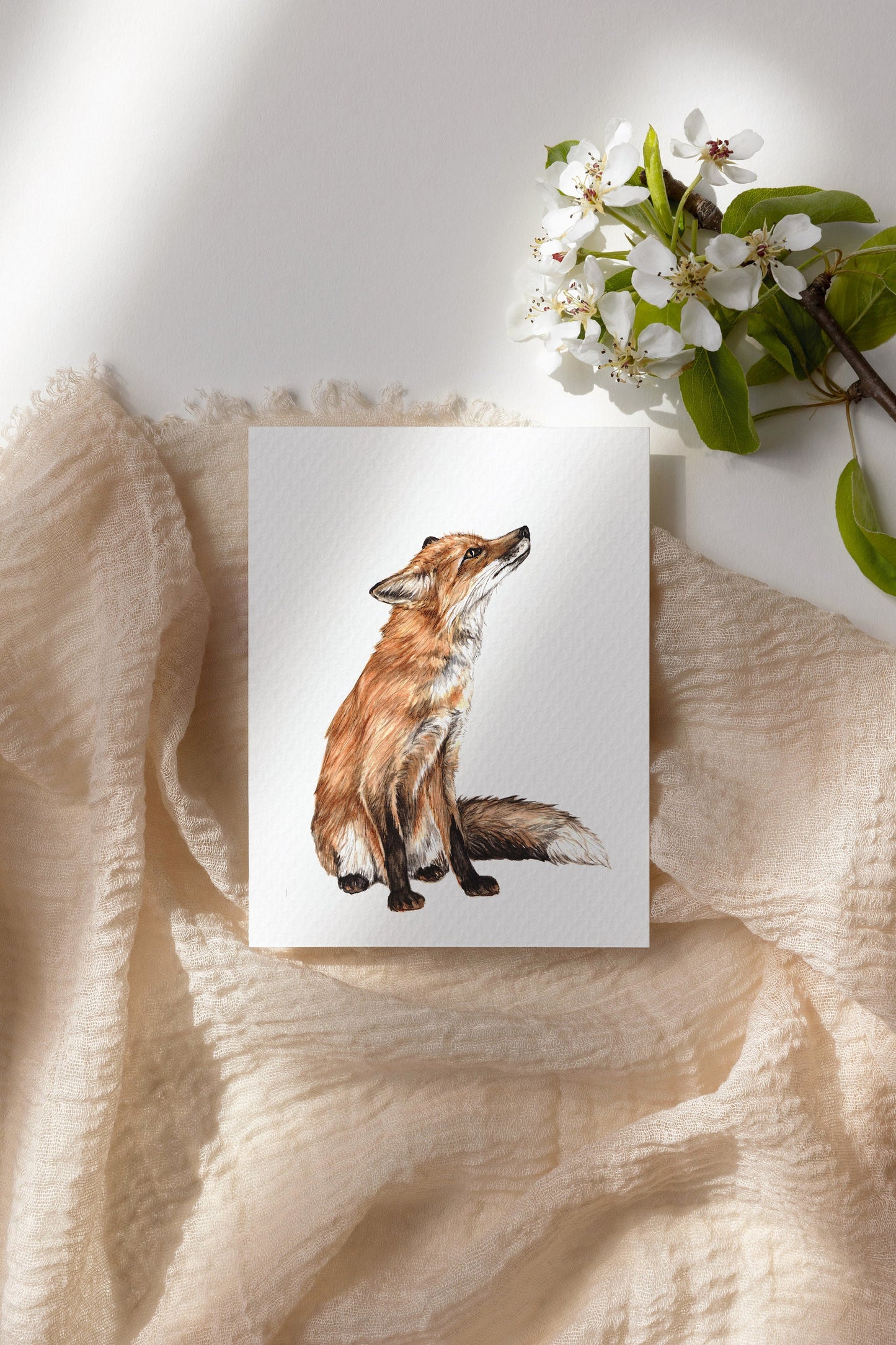 Biscuit the Fox, Urban Fox Charity Print Nature Watercolour Illustration Fine Art Mini Print, Animal Nursery Art, 5x7" A5