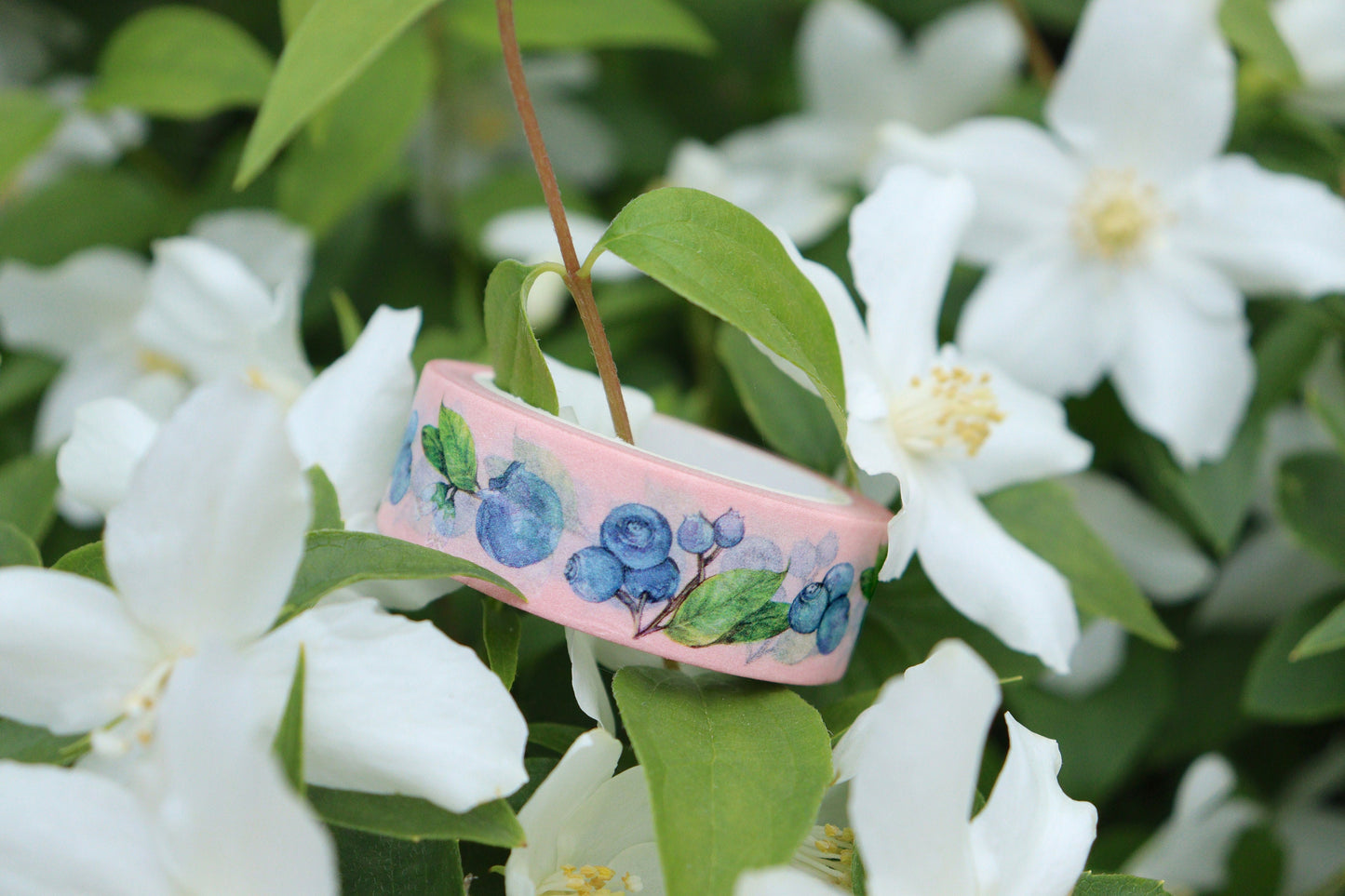 Blueberry Washi Tape, Watercolour Fruit Tape, Illustrated Berries Botanical Stationery Gift