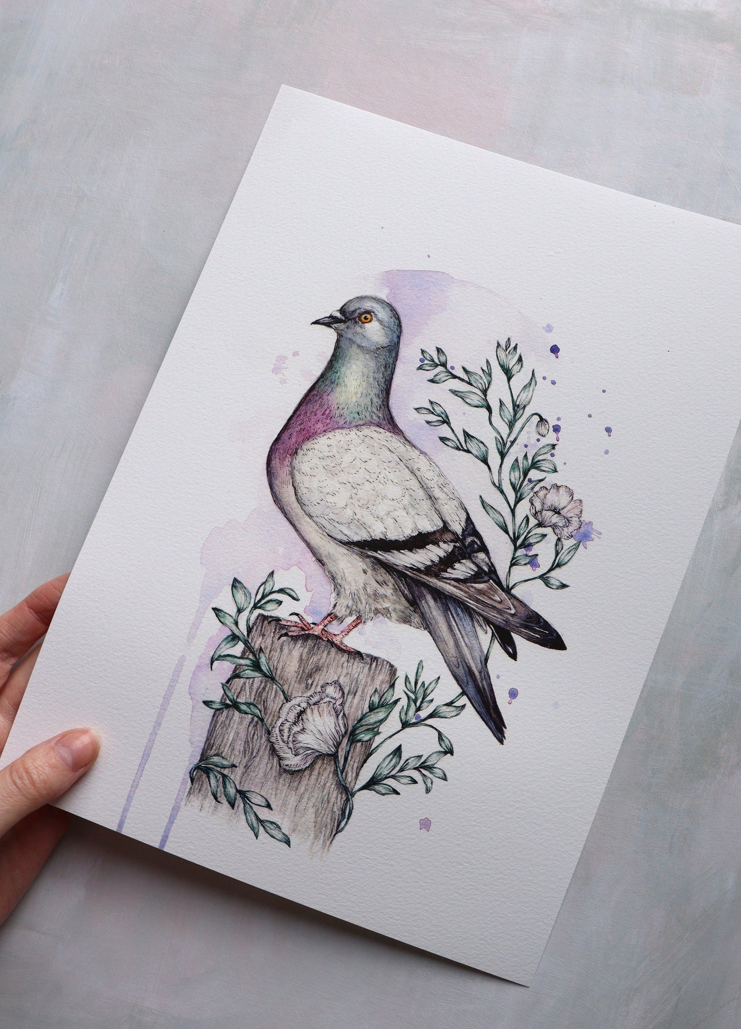 Pigeon Watercolour Print, Cute Illustrated Bird Artwork, Giclee Fine Art Print A4 A5 - Mr Pigeon