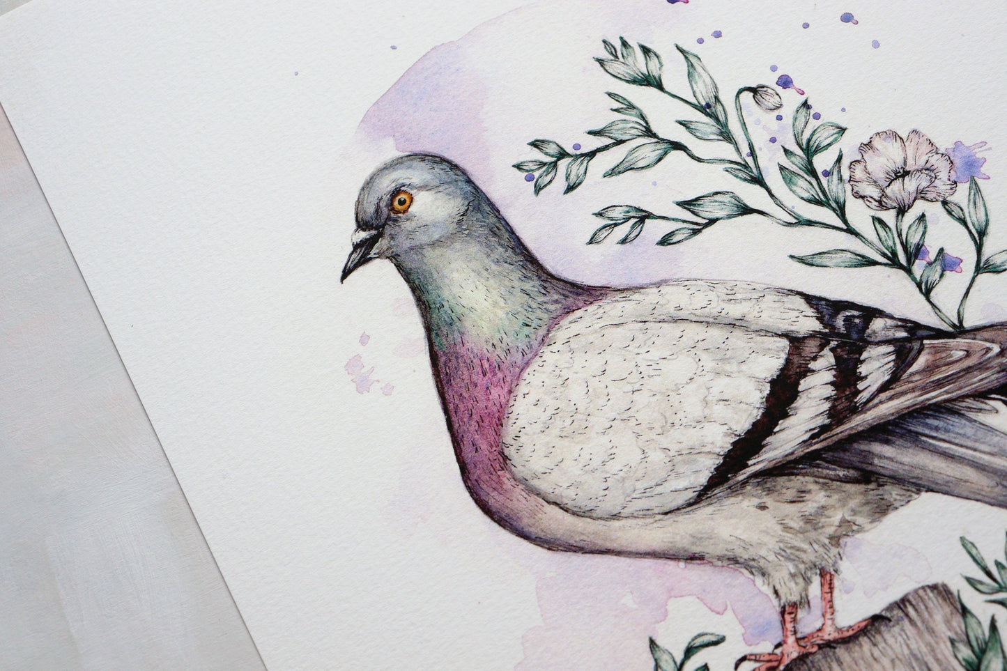 Pigeon Watercolour Print, Cute Illustrated Bird Artwork, Giclee Fine Art Print A4 A5 - Mr Pigeon