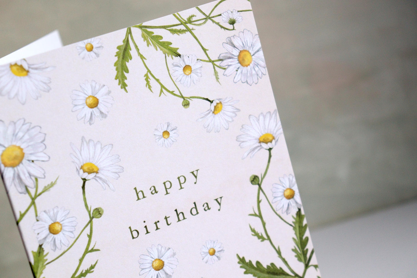 Daisies Botanical Birthday Card, Floral Oxeye Daisy Illustrated Wildflower Greetings Card A6