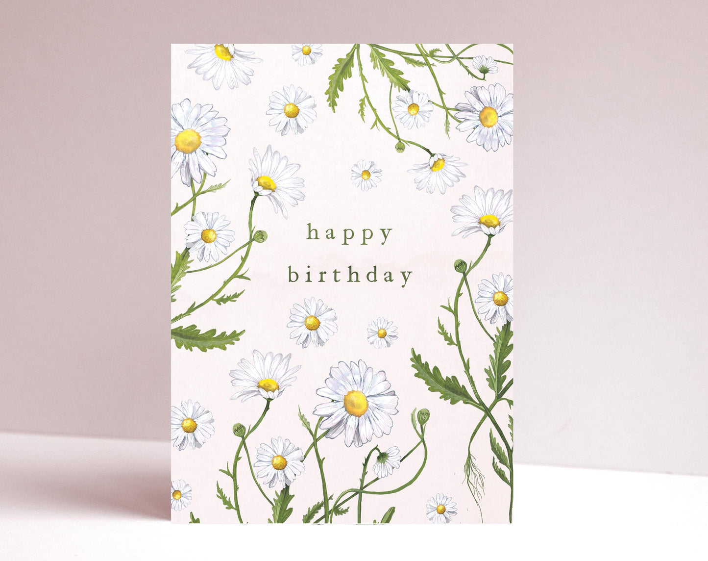 Daisies Botanical Birthday Card, Floral Oxeye Daisy Illustrated Wildflower Greetings Card A6