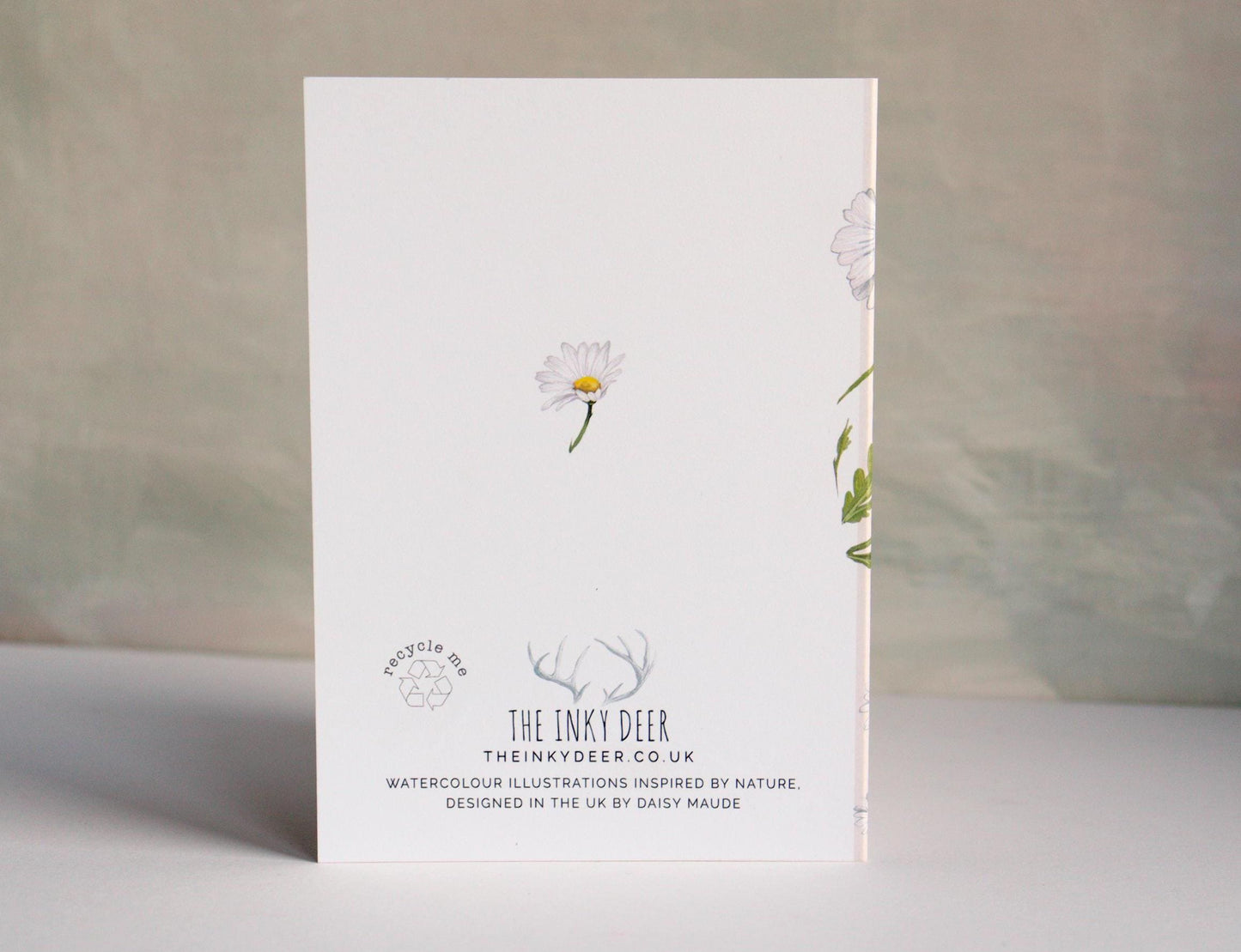 Daisies Botanical Birthday Card, Floral Oxeye Daisy Illustrated Wildflower Greetings Card A6