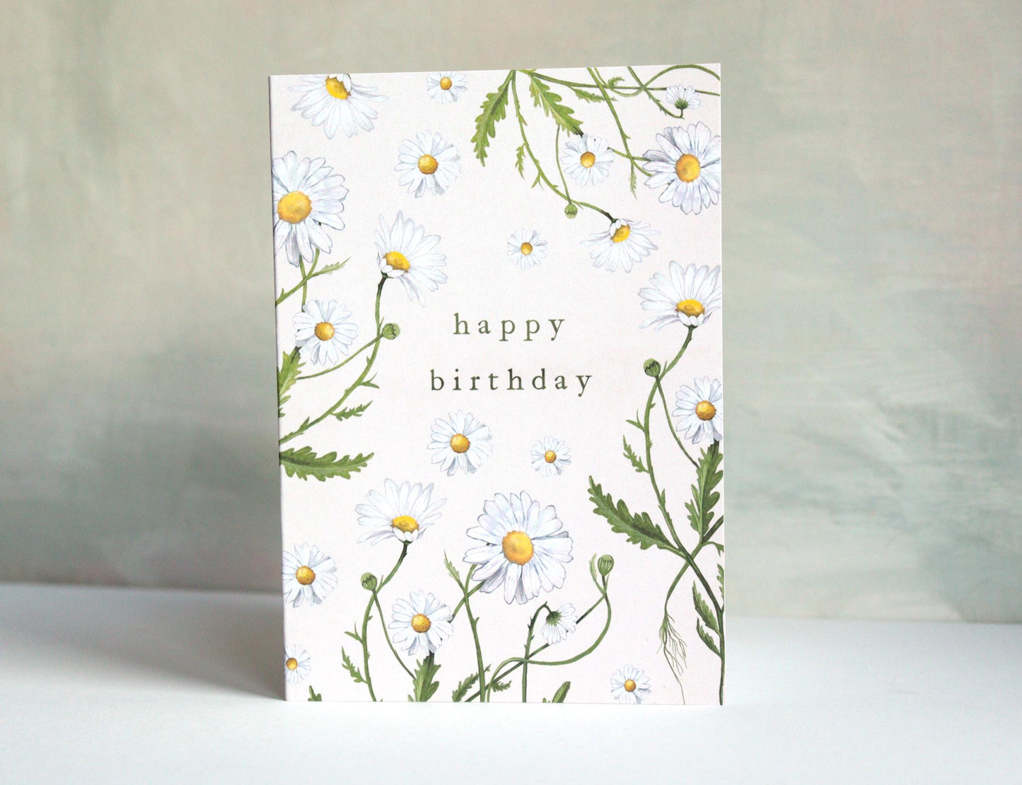Daisies Botanical Birthday Card, Floral Oxeye Daisy Illustrated Wildflower Greetings Card A6
