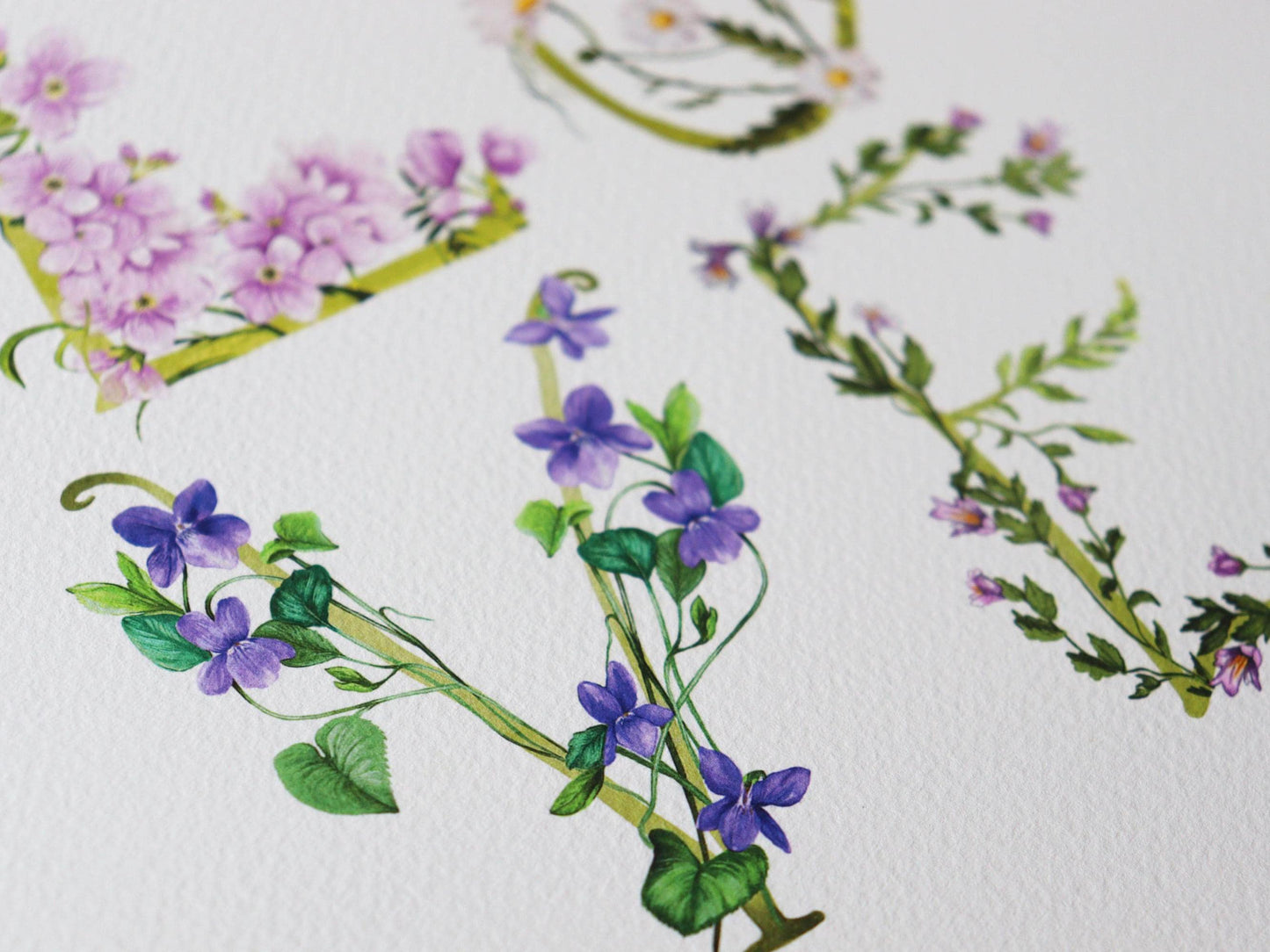 Love Of Wildflowers, Botanical Daisies Violets, Love Typography Word Print A3 Artwork Gift for Valentines