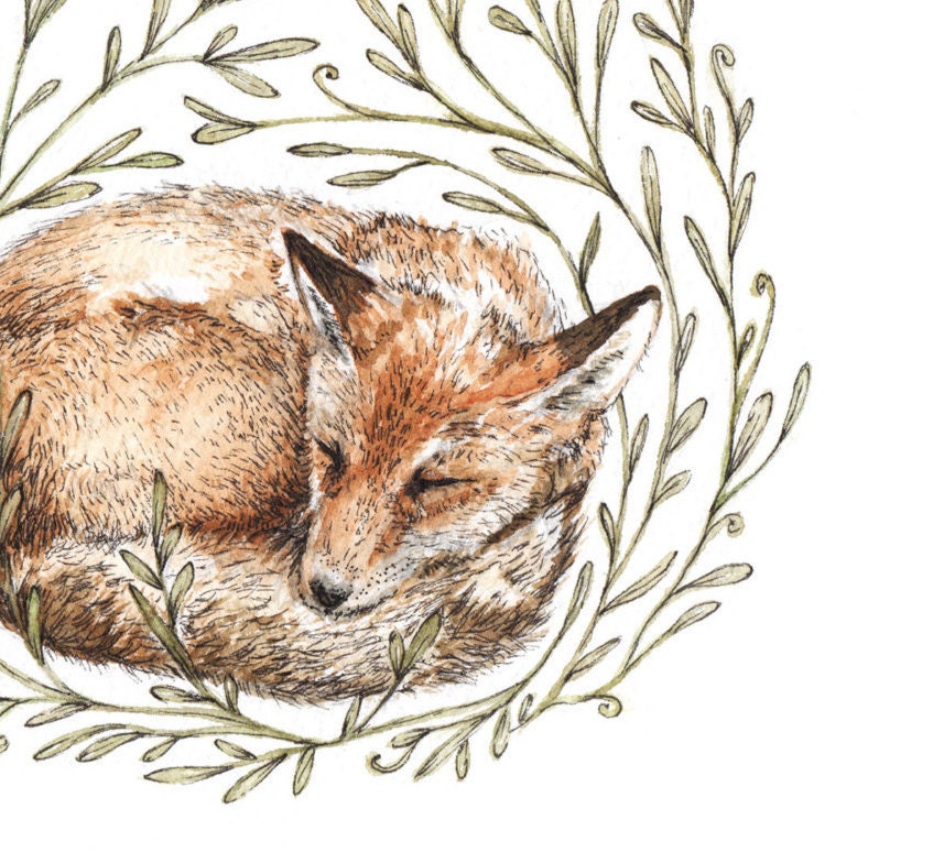 Little Sleeping Fox - Square Print Nature Watercolour Pen Ink Illustration Fine Art Print, Animal Nursery Art - 8x8" 7x7" 5x5" 4x4"