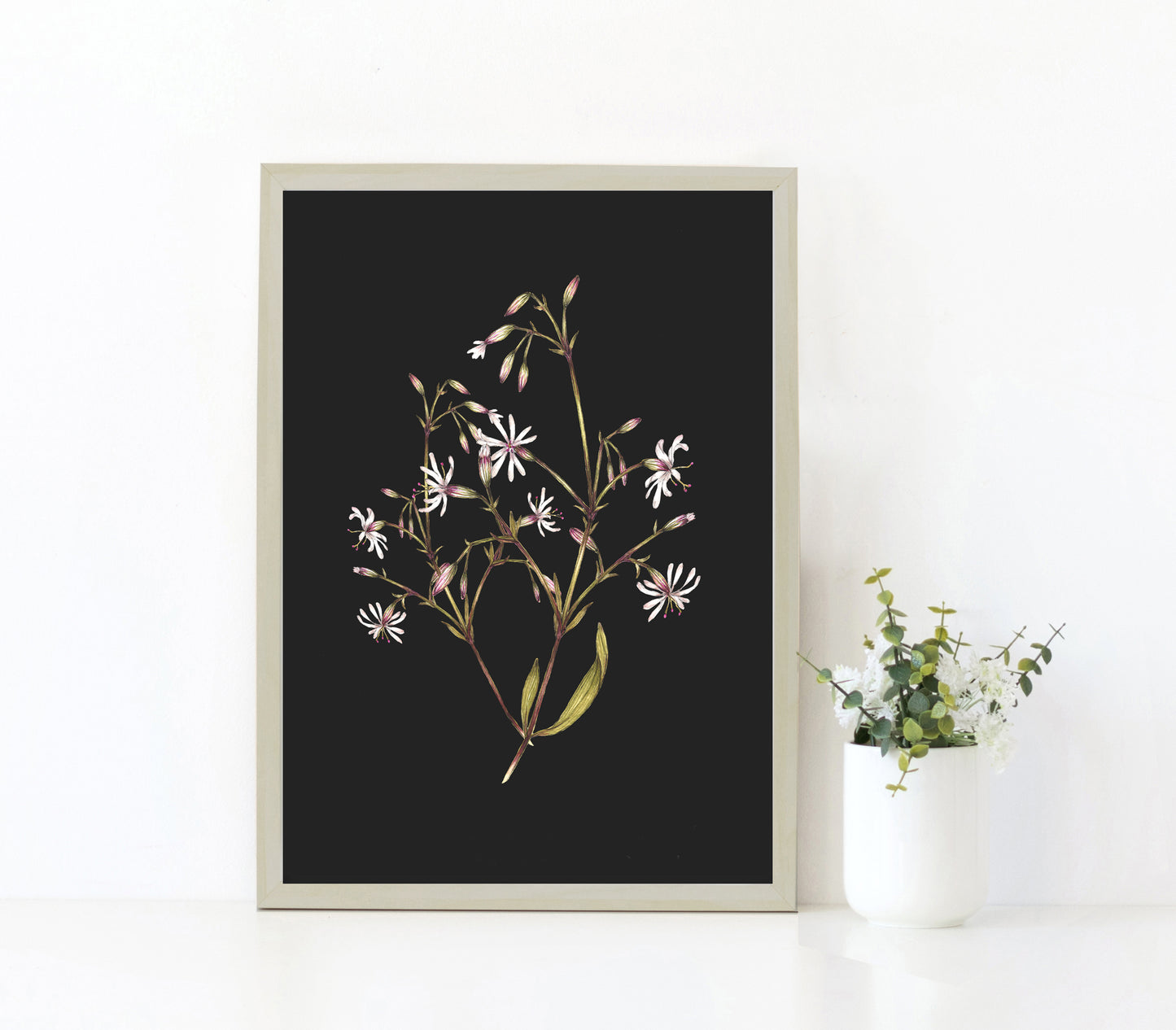 Nottingham Catchfly Watercolour Print, County Flower Of Notts Botanical Floral Poster, Wildflower Art Illustration A4 Giclee Print