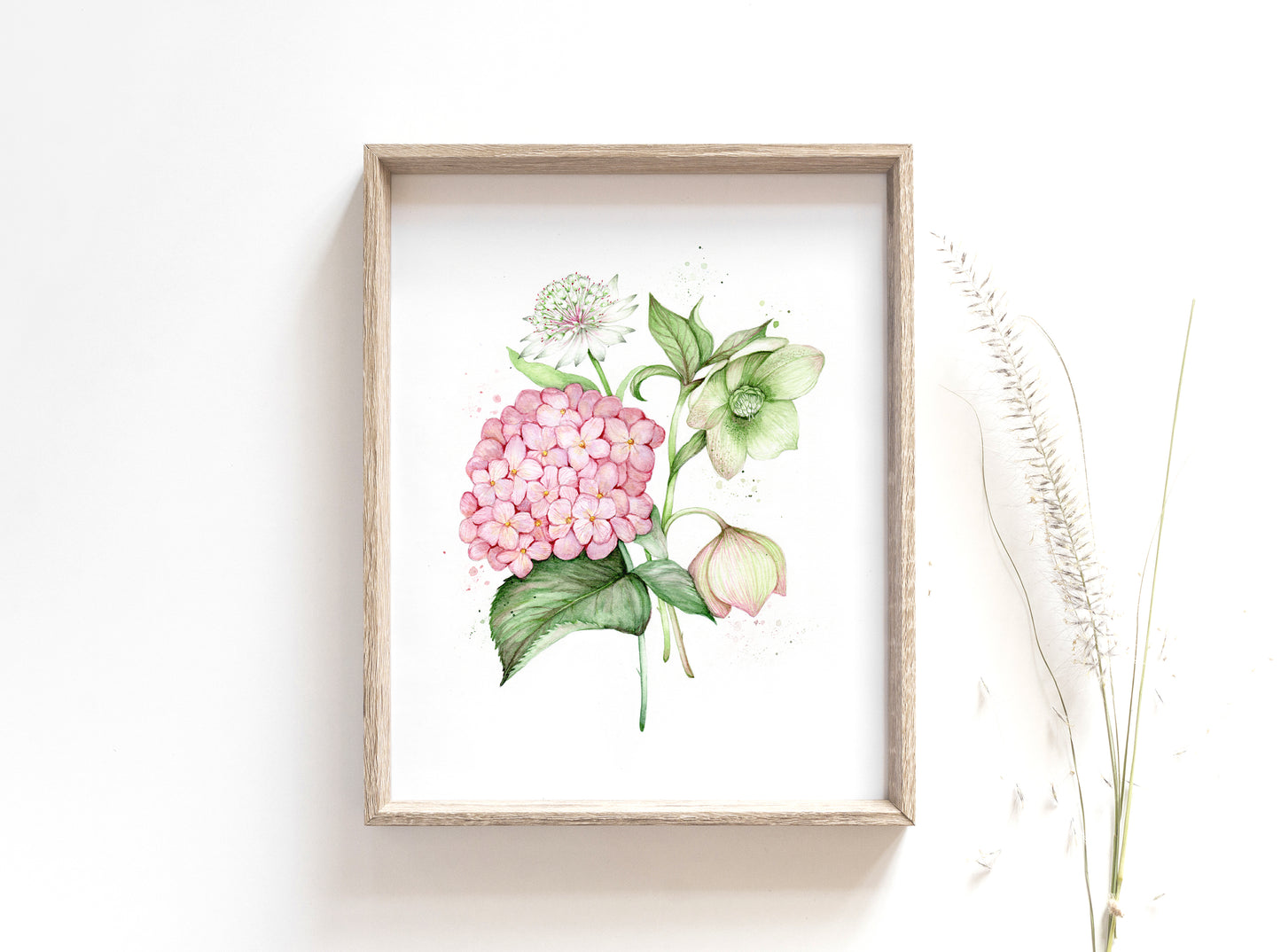 Vintage Florals Watercolour Giclee Print, Hydrangea Hellebore Astrantia Art A5, A4, A3