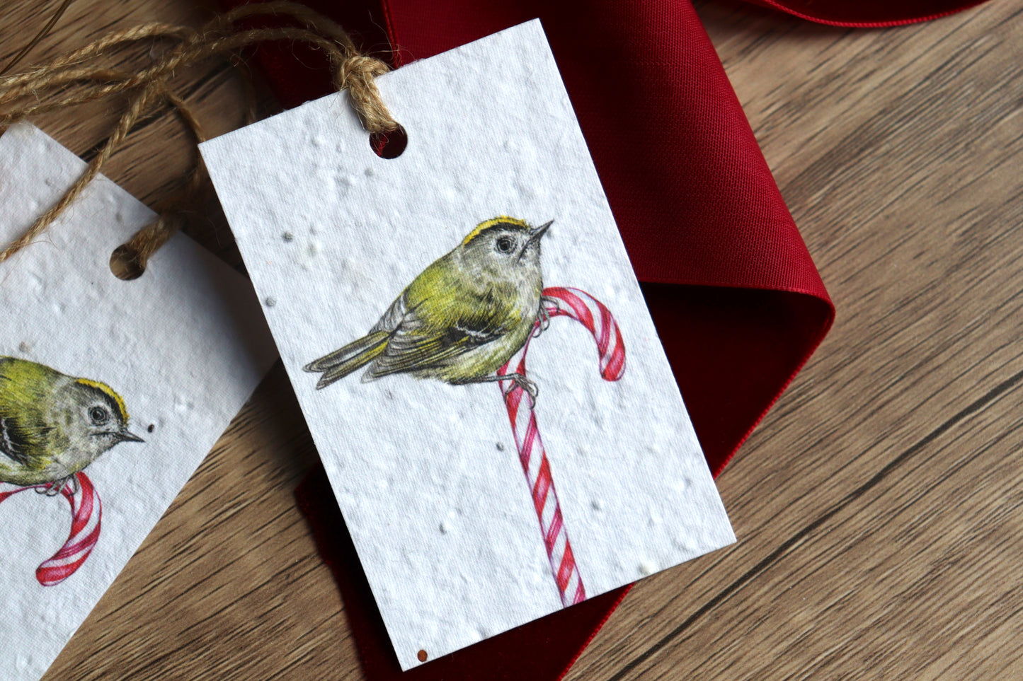 Plantable Christmas Gift Tags - Candy Cane Birds, Set of 8 Hand Illustrated Tags