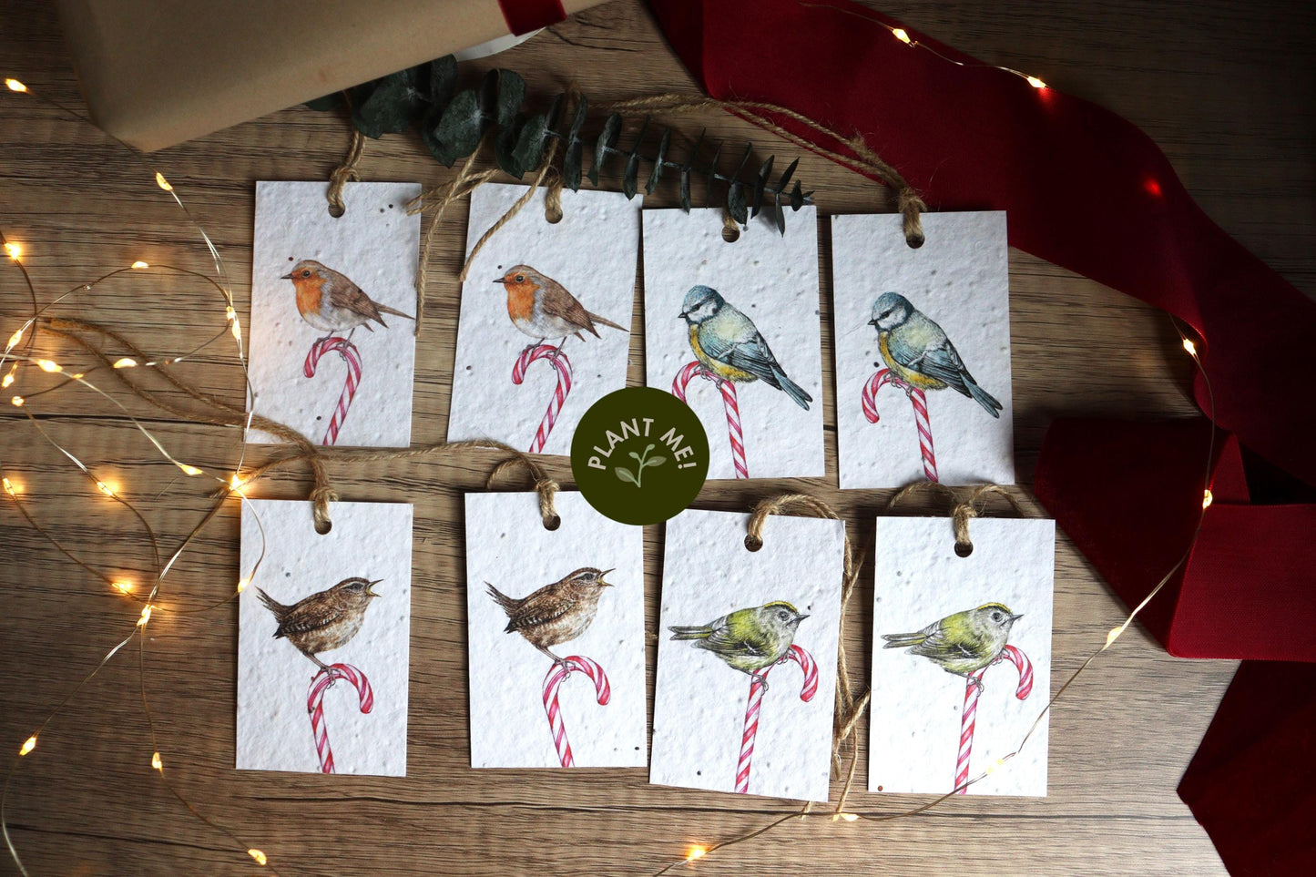 Plantable Christmas Gift Tags - Candy Cane Birds, Set of 8 Hand Illustrated Tags