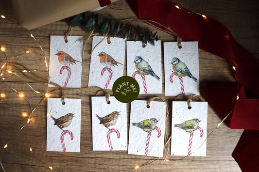 Plantable Christmas Gift Tags - Candy Cane Birds, Set of 8 Hand Illustrated Tags
