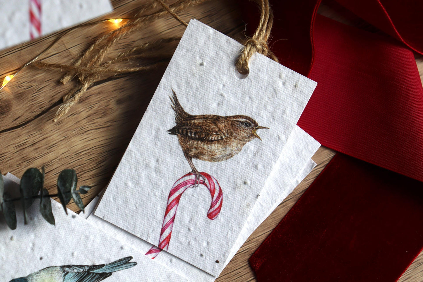 Plantable Christmas Gift Tags - Candy Cane Birds, Set of 8 Hand Illustrated Tags