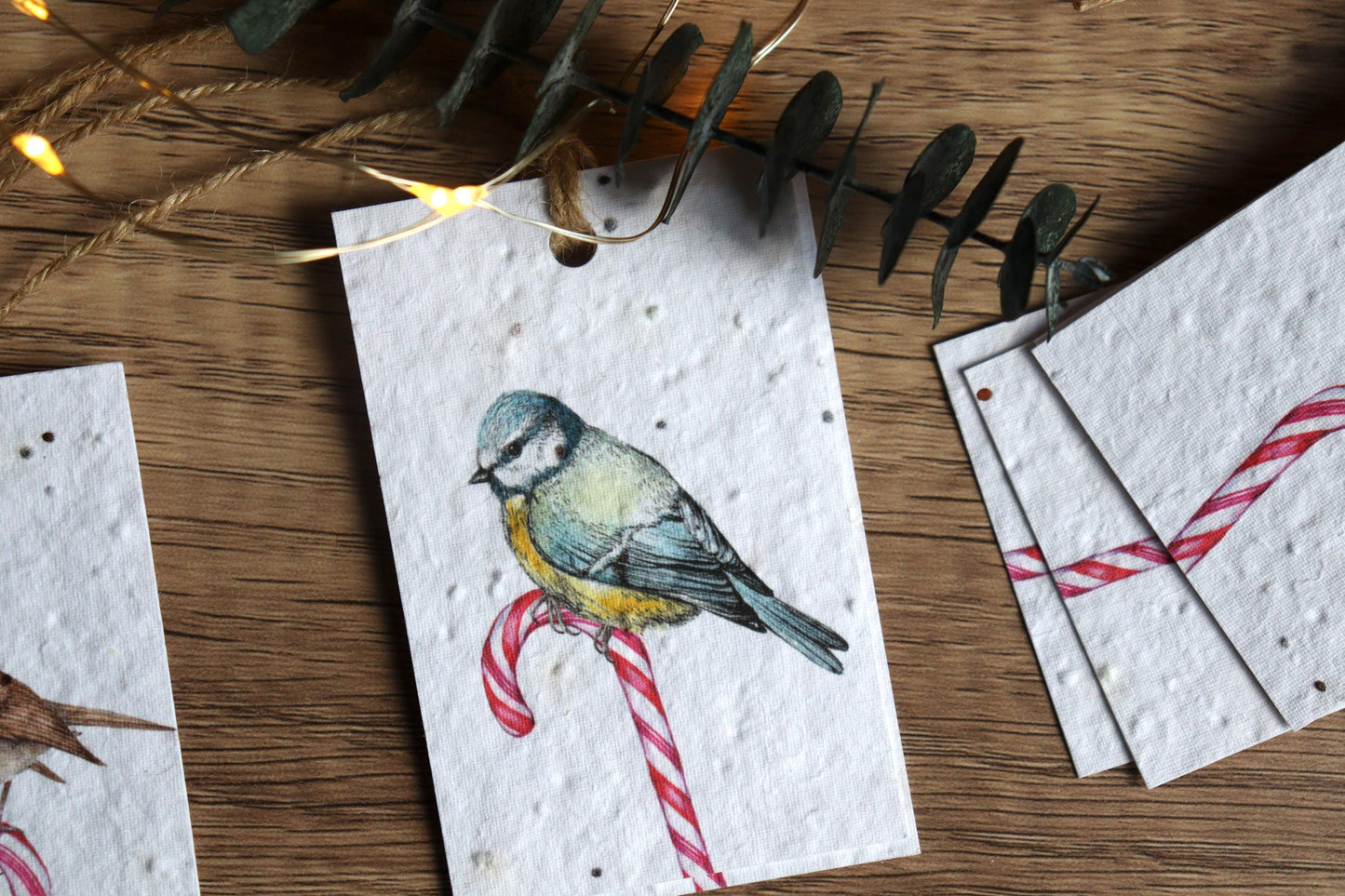 Plantable Christmas Gift Tags - Candy Cane Birds, Set of 8 Hand Illustrated Tags