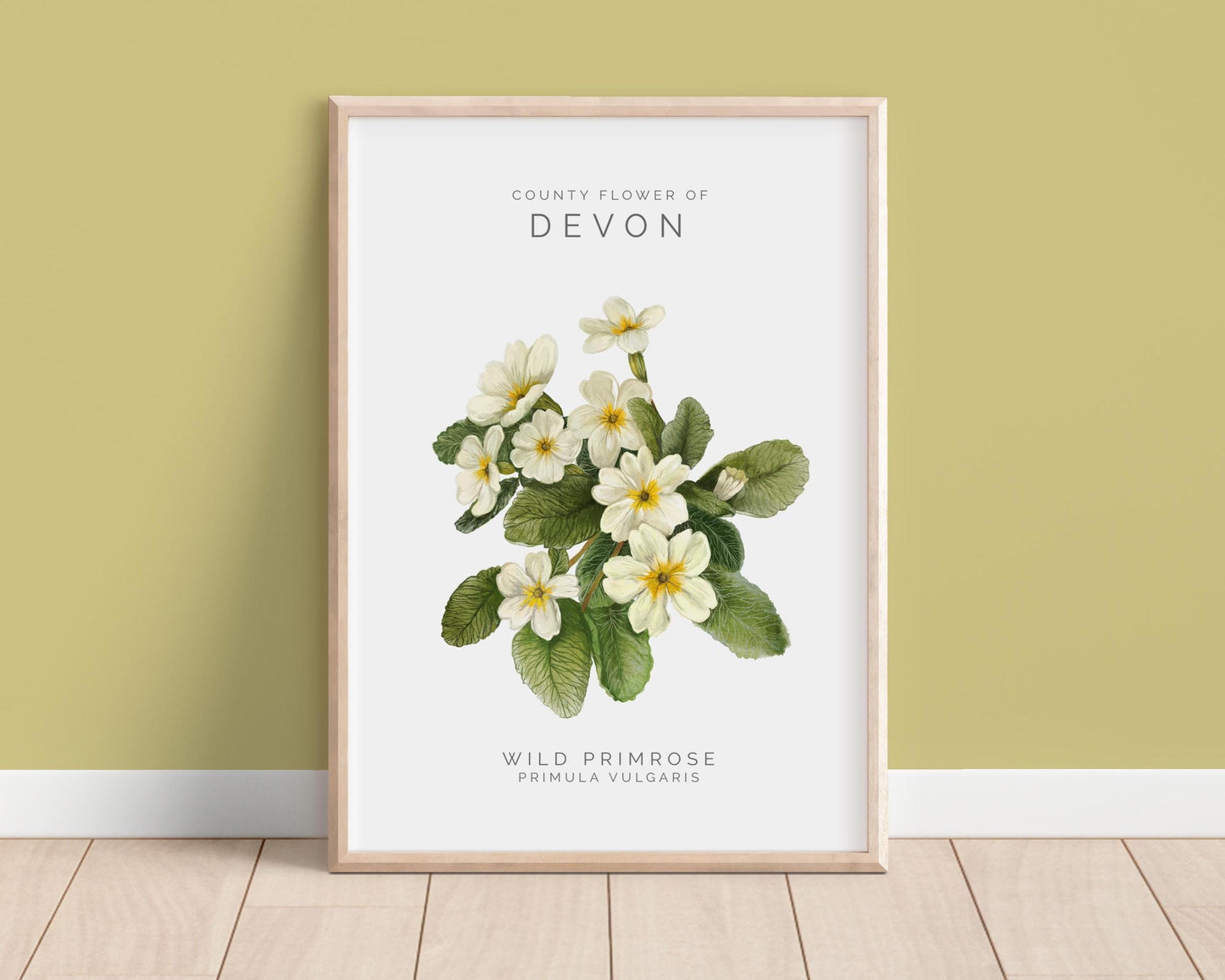Wild Primrose Watercolour Print, County Flower Of Devon Botanical Floral Poster, Wildflower Art Illustration A4 Giclee Print