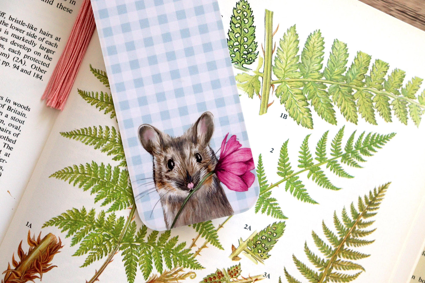 Illustrated Gingham Bookmark Set, Book Lovers, Bookish Gift, Pink Blue Miso The Mouse Horace Hare Watercolour Floral Bookmarks