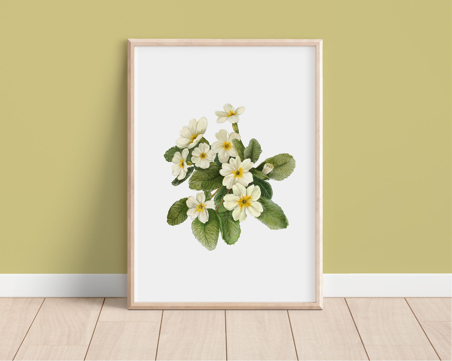 Wild Primrose Watercolour Print, County Flower Of Devon Botanical Floral Poster, Wildflower Art Illustration A4 Giclee Print