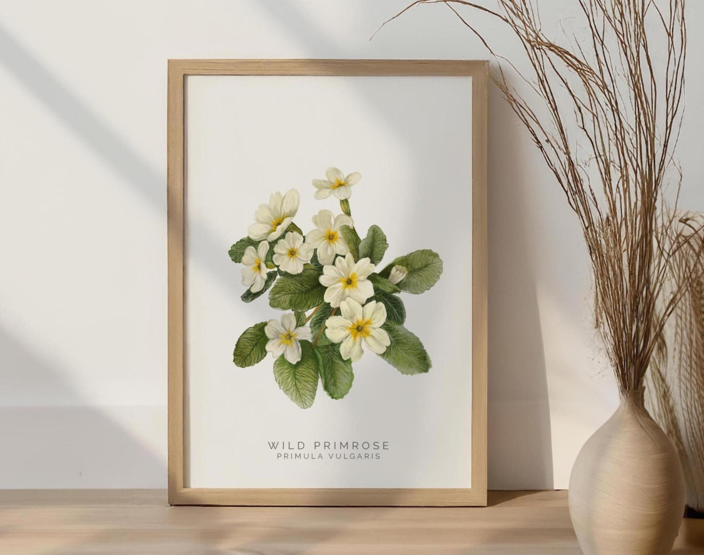 Wild Primrose Watercolour Print, County Flower Of Devon Botanical Floral Poster, Wildflower Art Illustration A4 Giclee Print